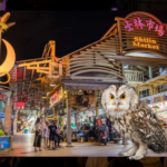 บรรยากาศความคึกคักของตลาดกลางคืน Shilin Night Market ยามค่ำคืน สะท้อนการเติบโตของเทรนด์ Owl Economy และเศรษฐกิจกลางคืน